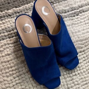 Elegant Blue Women's Mules